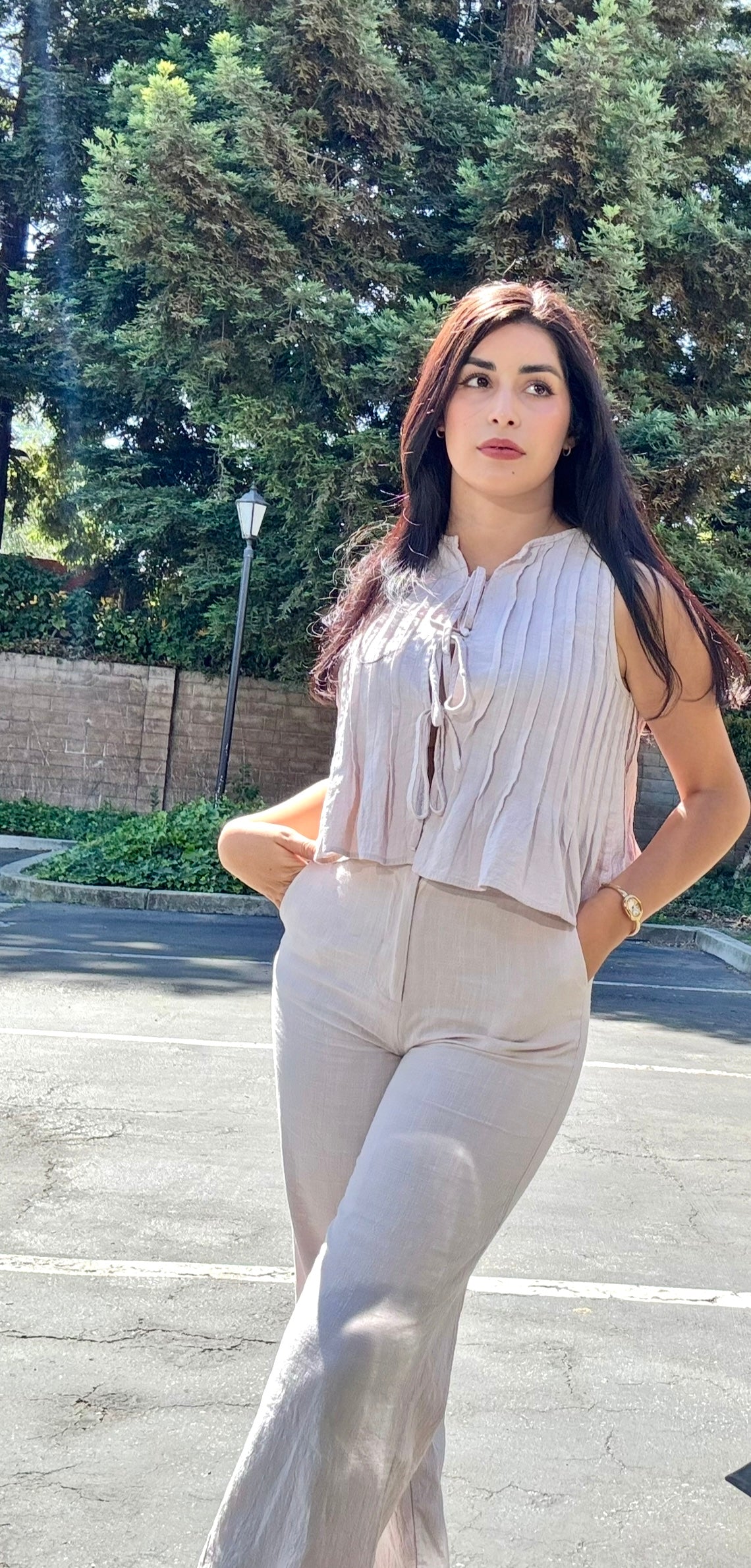 Beige Top And Pants Set