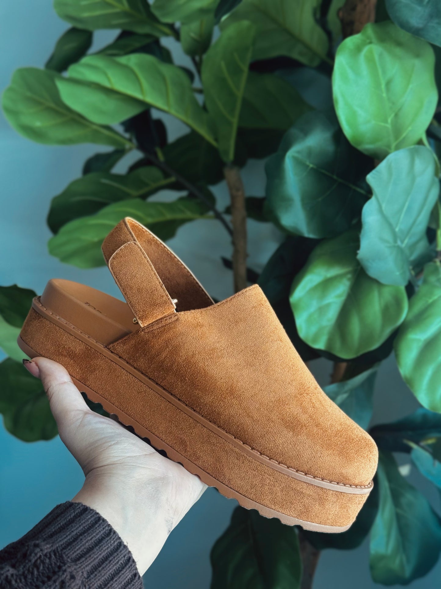 Platforms Clogs