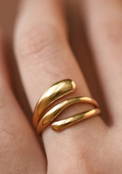 Fluir 18k Stainless Steel Adjustable Ring